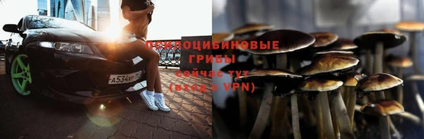Альфа ПВП Нягань