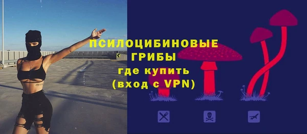 соль ск Алексеевка
