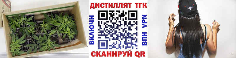 ТГК Wax  Ставрополь 