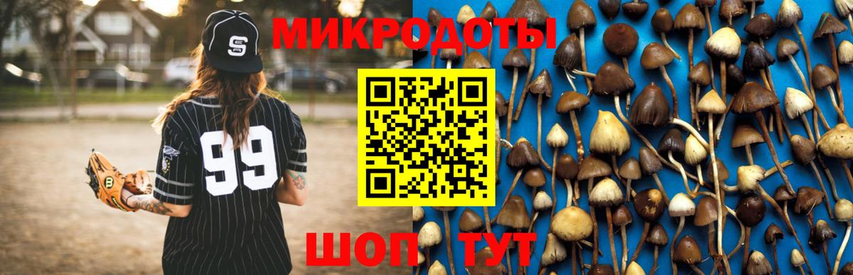 Ставрополь  купить   Вход с VPN  Галлюциногенные грибы Psilocybine cubensis 