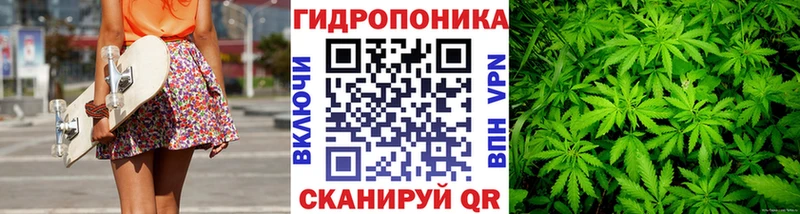 как найти наркотики  Ставрополь  Каннабис сатива 