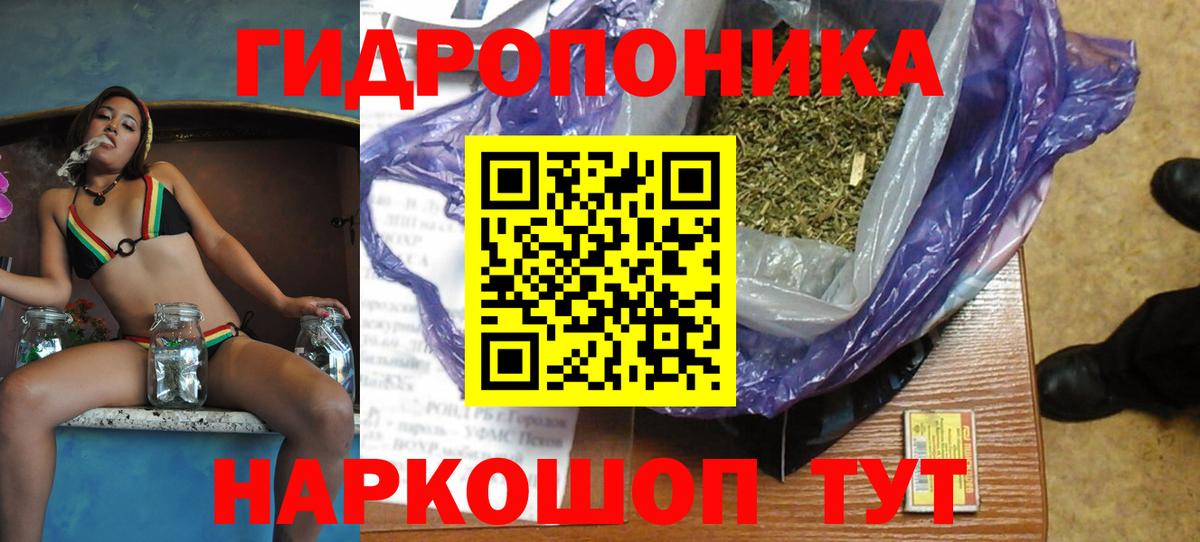 МАРИХУАНА ГИДРОПОН Ставрополь